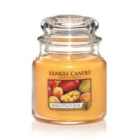 Yankee Candle – Mango Peach Salsa Small Jar