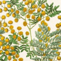 Sköna Ting – Servett Mimosa 20-p  33*33 cm