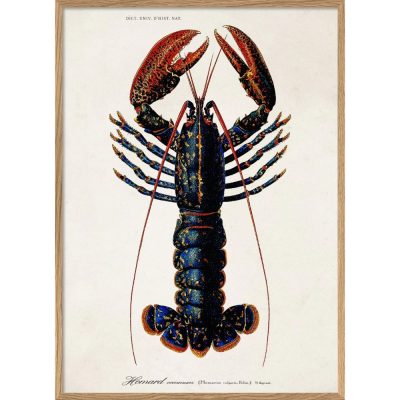 lobster bild dybdahl