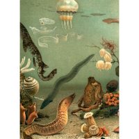 Dybdahl – Aquarium Left Side Bild 30*40 cm