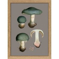 Dybdahl – Three Blue Fungi And Details Mini Print Tavla Ekra